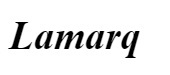 LAMARQ International