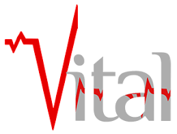 Vital Media Agency